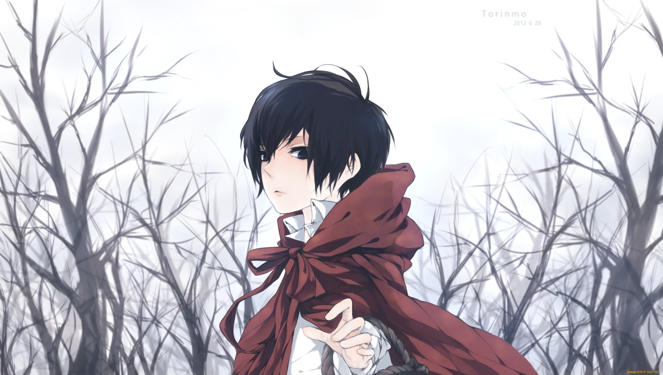 , katekyo hitman reborn, , , 